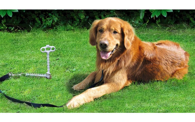 Peggy Peg Dierhouder PetPeg 3 Peggy Peg Dierhouder PetPeg