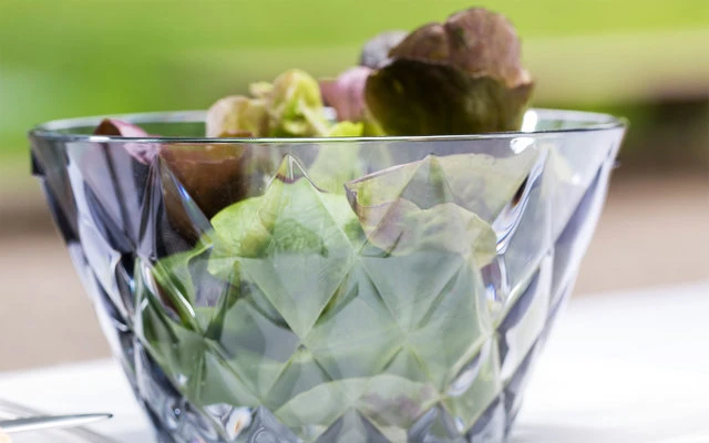 Koziol Crystal S Opdienschaal 500 Ml 3 Koziol Crystal S Opdienschaal 500 Ml