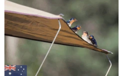 Gordigear Daktent 165 Plus Voor 3 Personen Met Luifel 165 X 320 Cm Grijs -Berger 585663 3986115