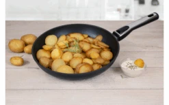 Cerafit Plasmapannenset 2 Stuks 24 Cm -Berger 586859 4005987