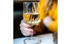 Berger Wijnglas Set Van 2