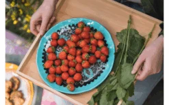 Rebel Outdoor Dessertbord 22 Cm Geel