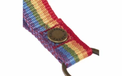 Fjällräven Kånken Regenboog Sleutelhanger Regenboogpatroon